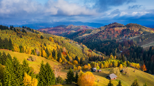 Trees, hills and Houses during Autumn in Rural Romania