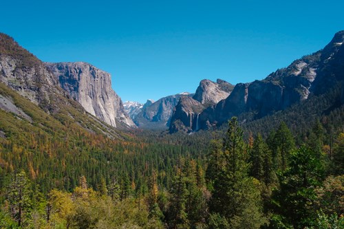 Green trees and rocky cliffs of Yosemite Valley, CA, USA.