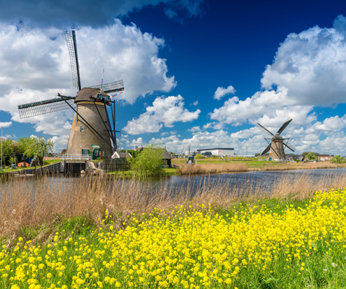 Windmills in a meadow, Netherlands