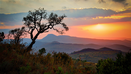 Sunrise over the Savannah in a South African national park.