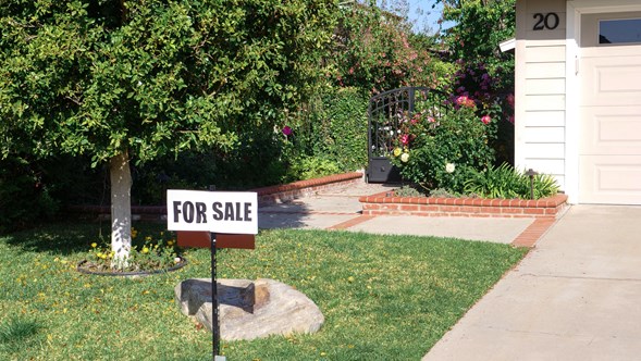 For sale sign on a lawn beside a long driveway.