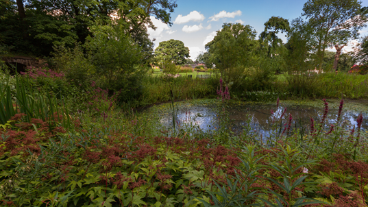 Water Pond with lush vegetation in Heaton Park, Manchester.