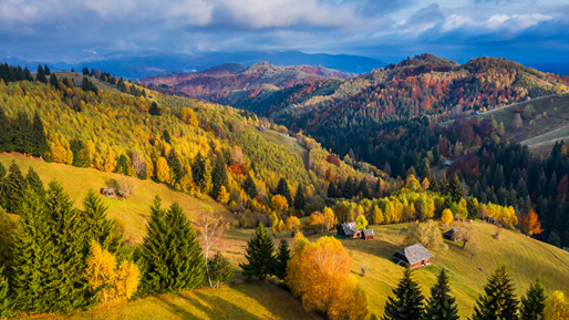Rolling hills and autumn colours of the Carpathians in Romania