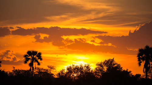 A colourful sunset over the Zambezi River in Zimbabwe.