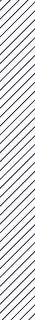 Vertical lines