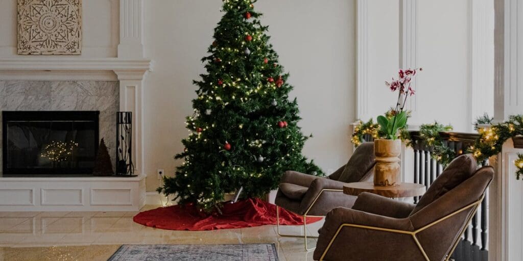 How to Care for a Real Christmas Tree