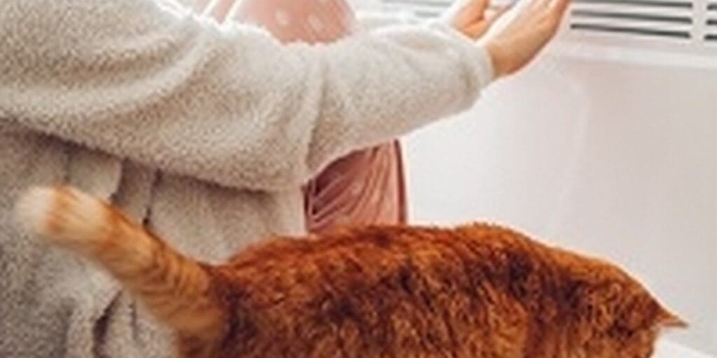 Easy Tips On How to Heat Your Home