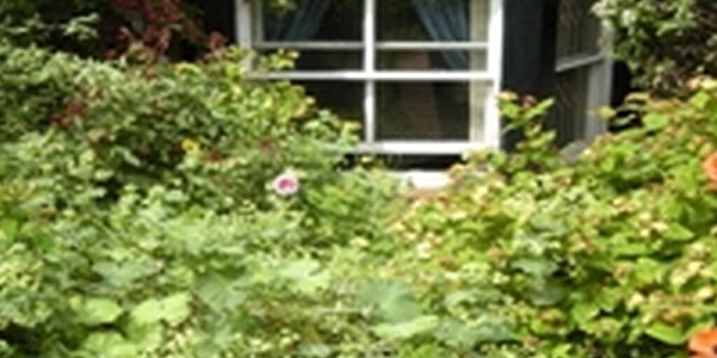 3 Ways to “Move your Garden” when Moving House