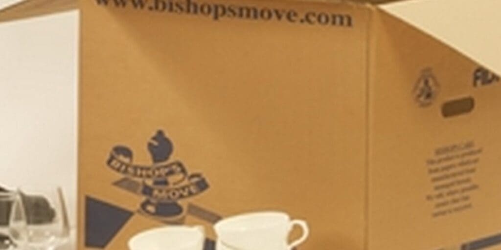 Fun Thanksgiving Makes with Cardboard Moving Boxes