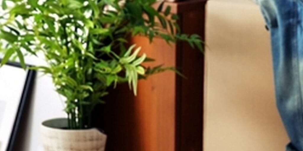 How to safely move plants to your new home